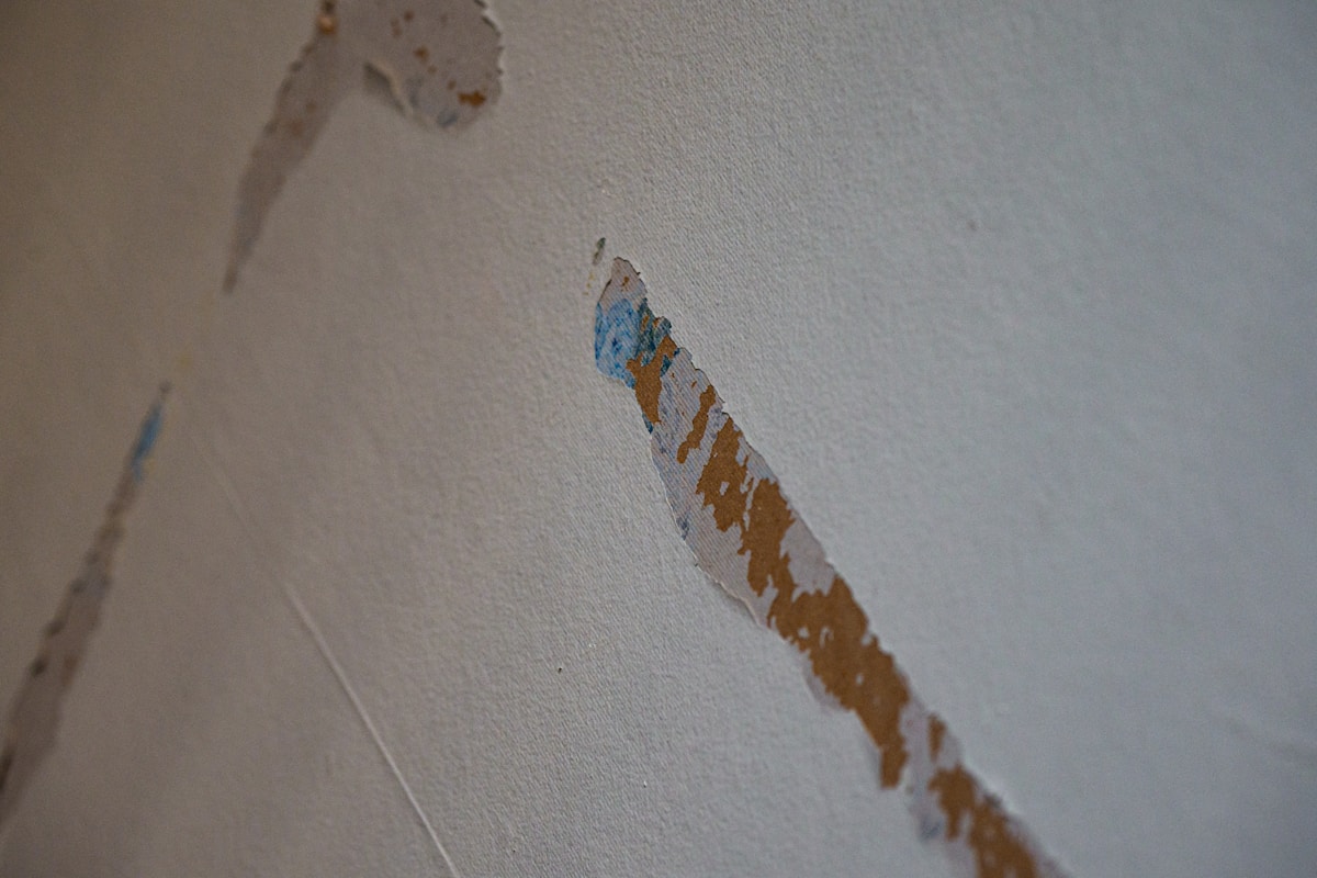 Commercial Water Damage service in Lodi, CA